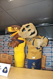 Se unen contra la violencia