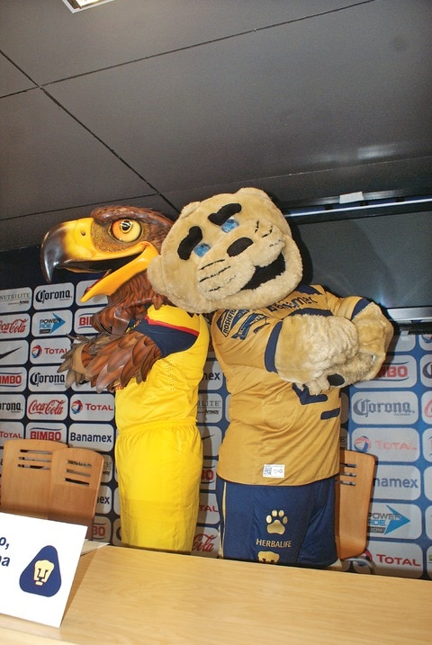 Se unen  contra la violencia