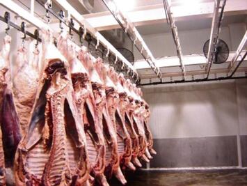 Descartada construcción de rastro en SJR