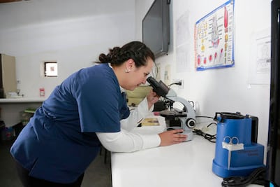 Abren unidad de équidos en Tequis 