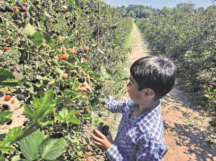 Foto: Lorena Alcalá