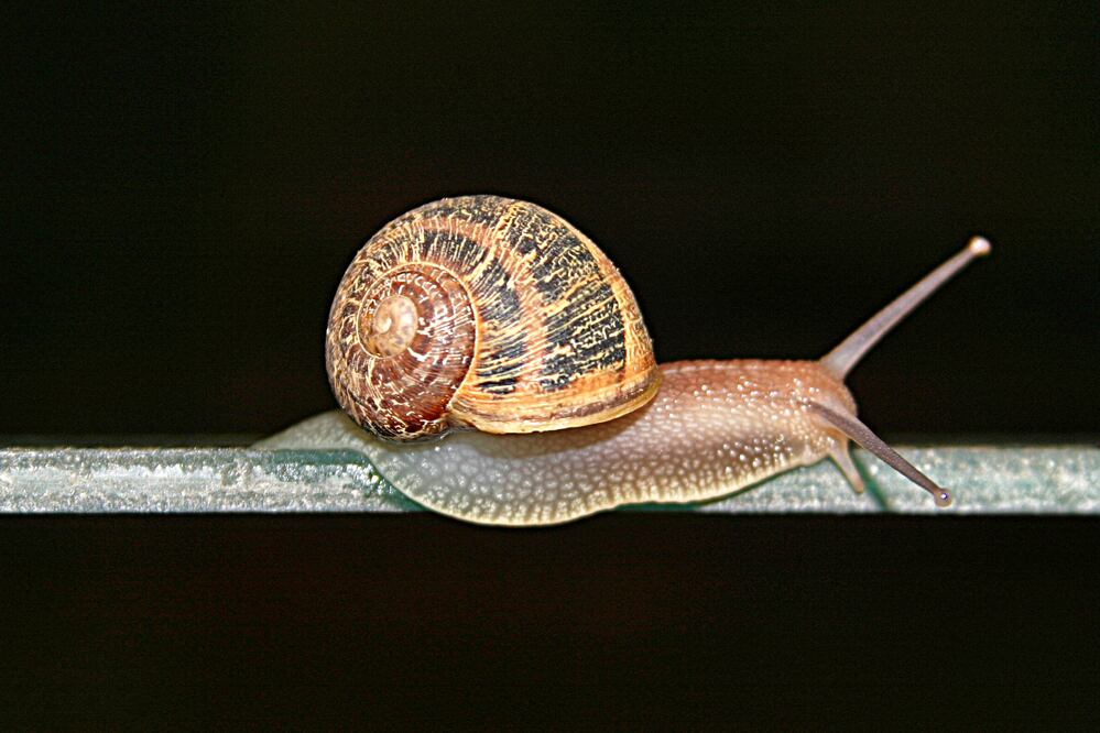 La velocidad adecuada