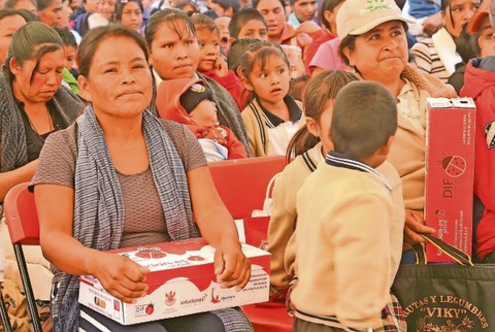 Soluciones ejercerá 2 mmdp en 2013