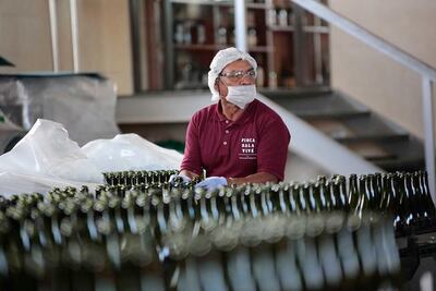 Registran alza en producción de vino