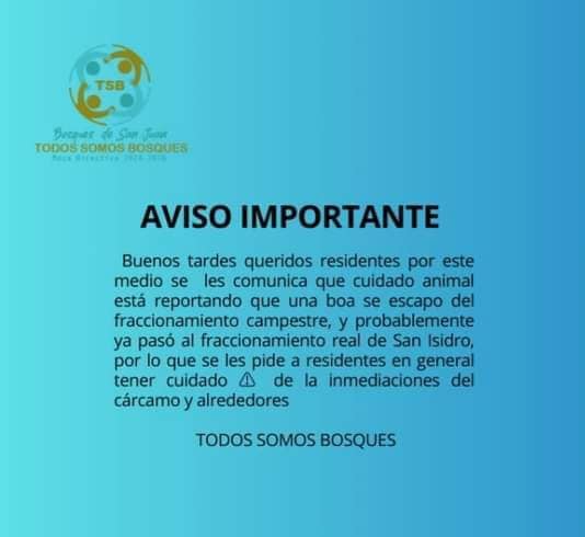 Foto: Especial