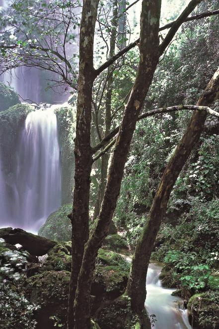 Incluyen a la Sierra Gorda en el top 100 de destinos sostenibles del mundo 