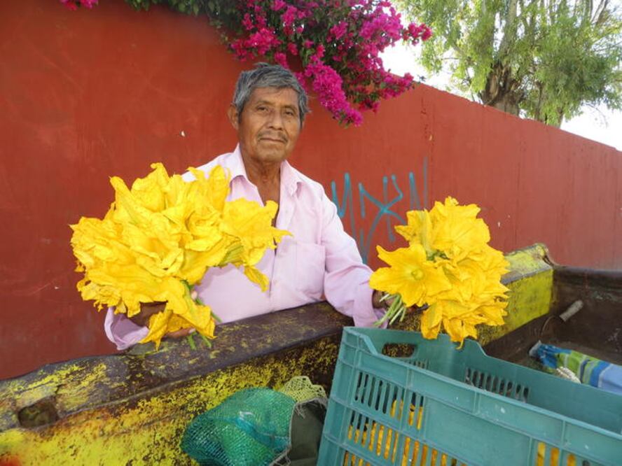 Fotos: Nancy Colín, El Universal