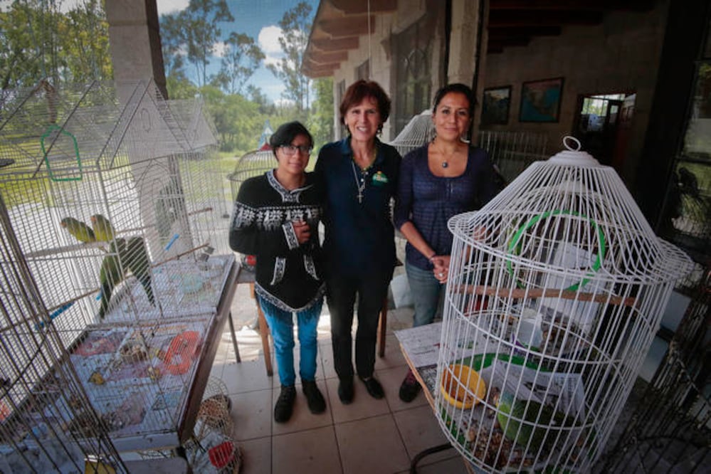 Destituye gobierno a Pamela Siurob del Panec