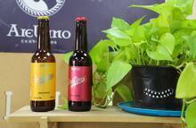 Inicia Exposición de Mercadito Hércules y Cerveceros Independientes en Punto México