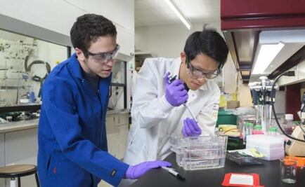 Desarrollan nuevo método "más confiable" de detección oral del VIH