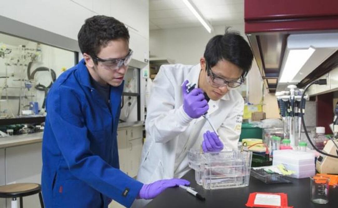 (FOTO: Universidad Stanford)