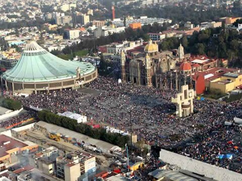Seseq vigila limpieza de alimentos