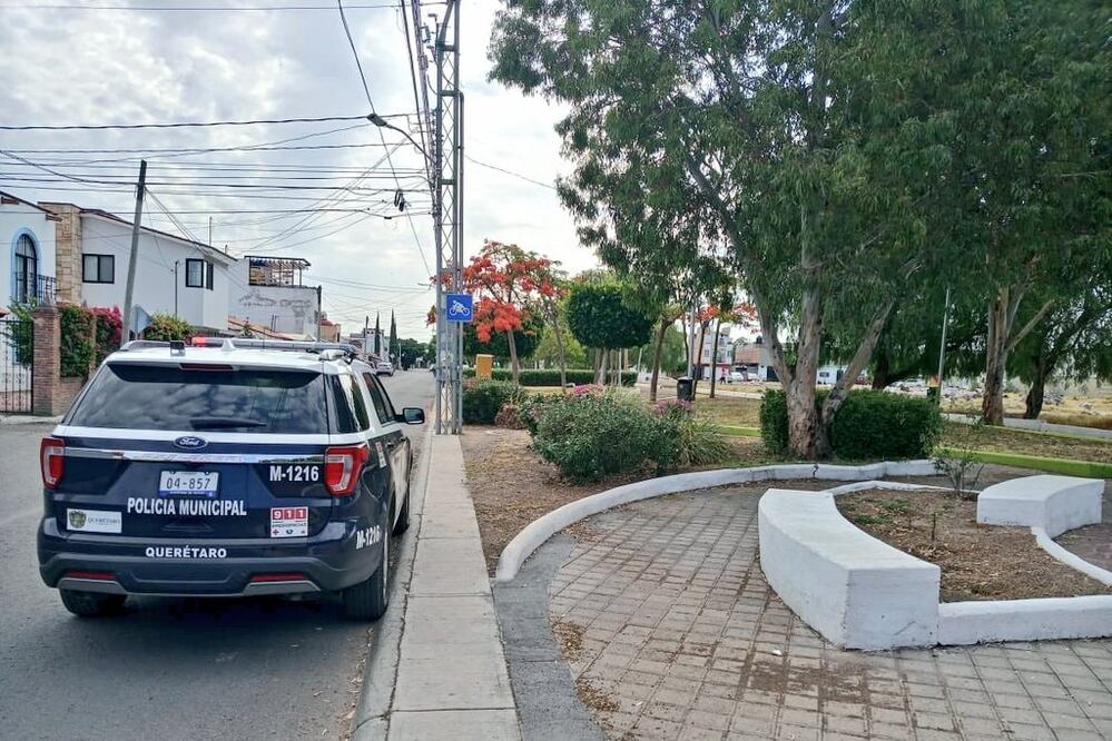 Foto: Especial. Imagen ilustrativa