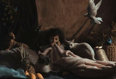 Espacios íntimos en la pandemia 