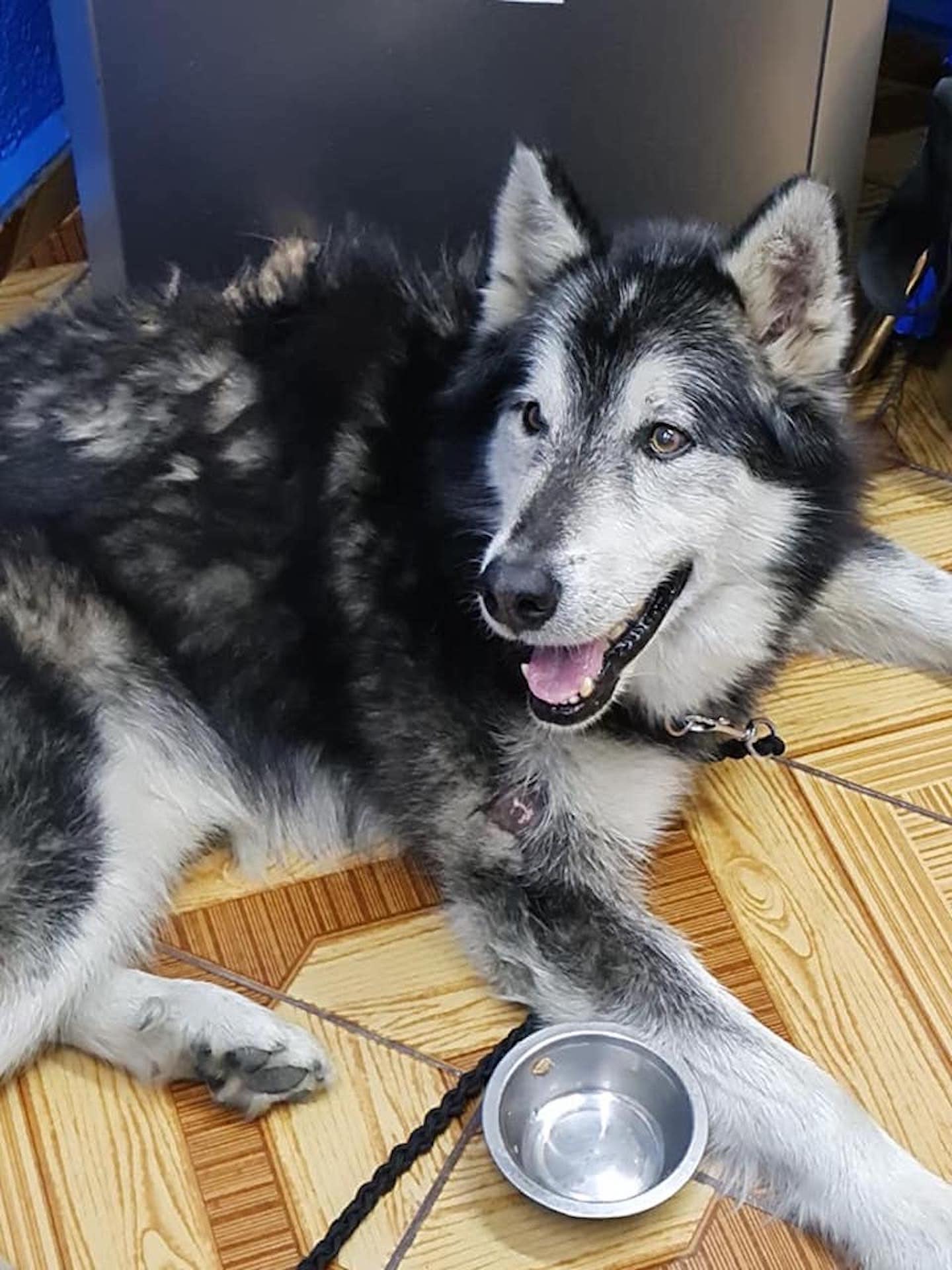 Cuatro años después, "Toko" se reencuentra con su familia