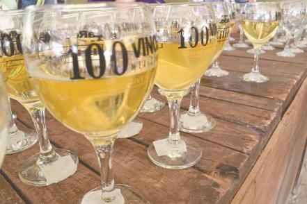 Llega la undécima edición de 100 Vinos Mexicanos