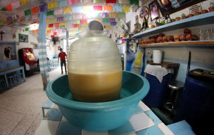 Güilo y pulque, tradiciones que la autoridad prohíbe 