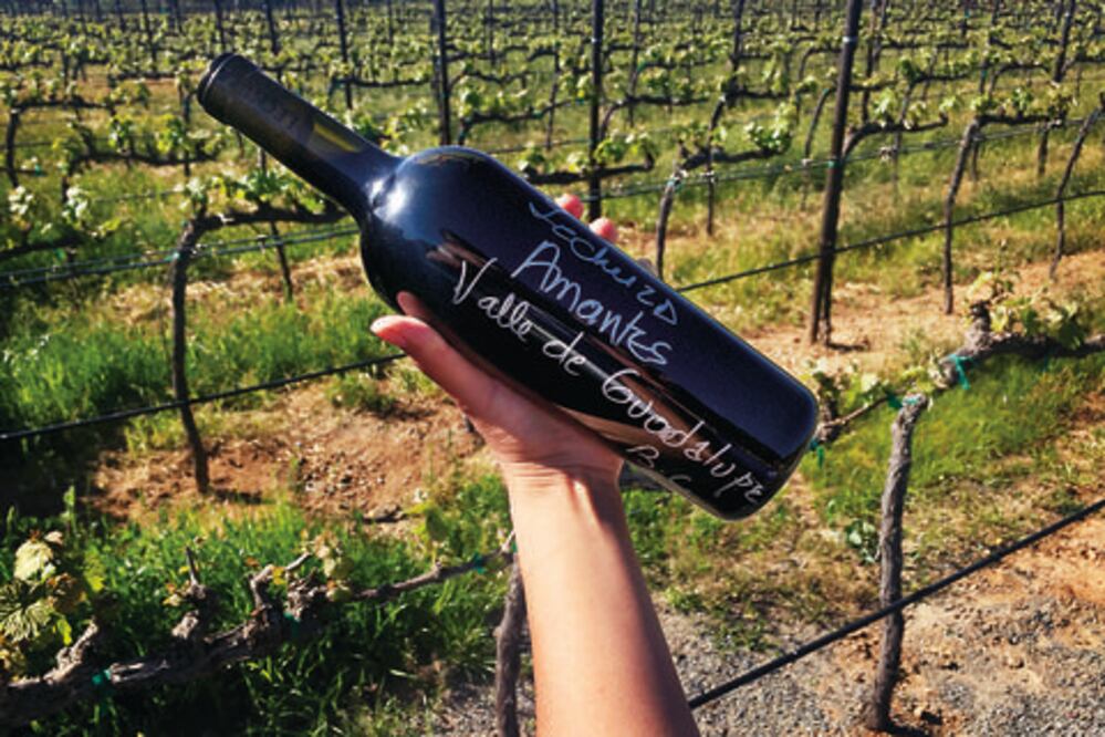 Joyas del Valle de Guadalupe