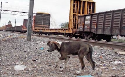 Aumentan delitos en la colonia Santa María