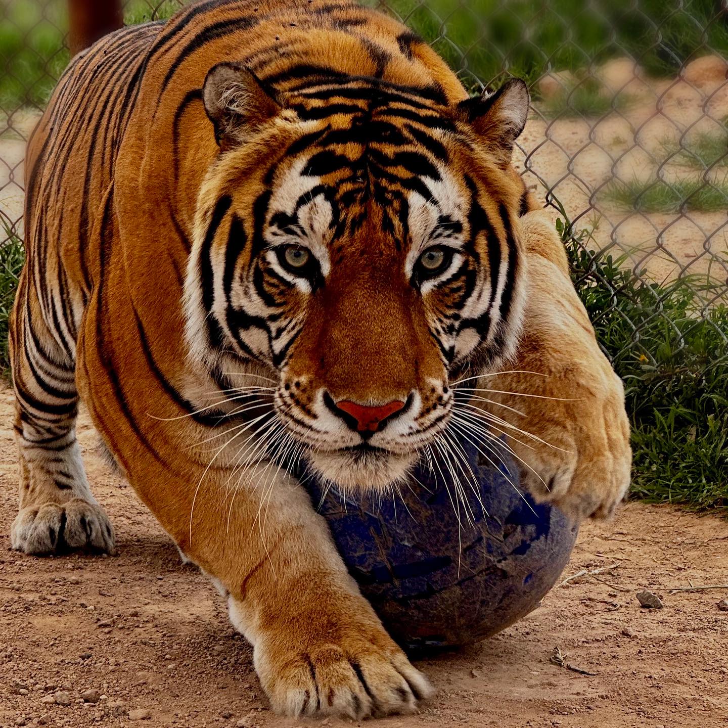 Foto: Facebook Santuaai