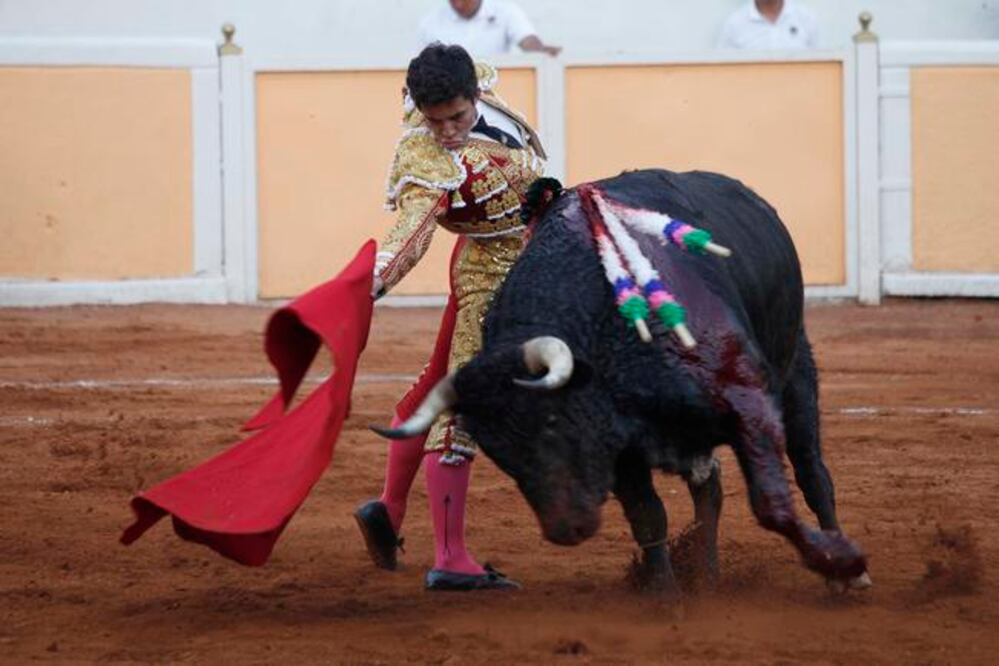 Foto: Guillermo González