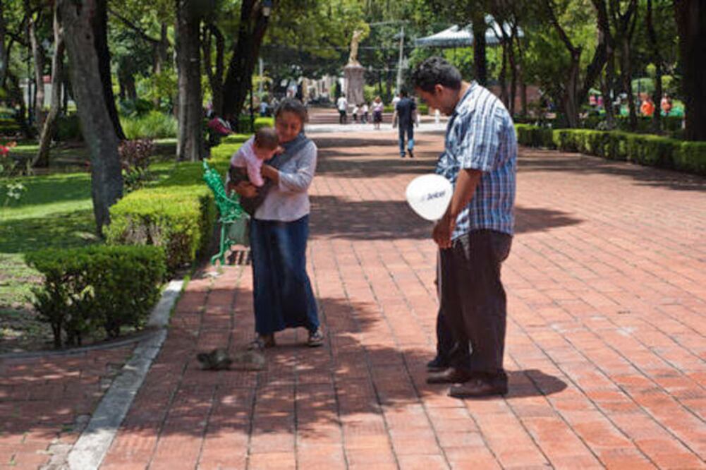 Ambientalistas se oponen a  traslado de ardillas a El Cimatario