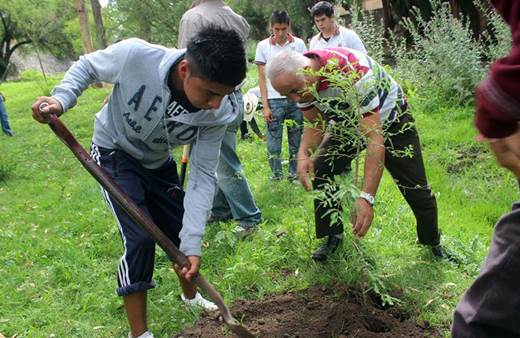 Invierte 2.2 mdp en plantación de árboles 