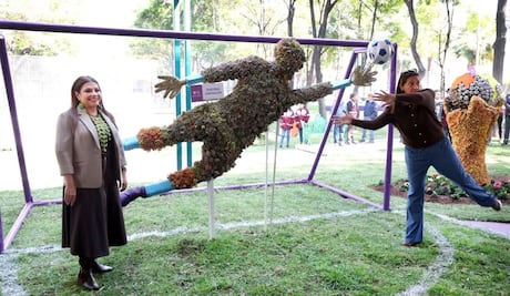 Decorarán camellones con diseños alusivos al futbol