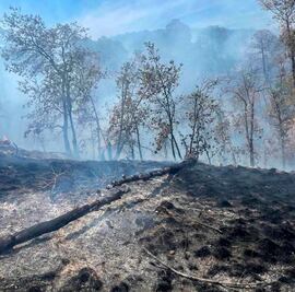 No cambiará uso de suelo en predios afectados por incendios