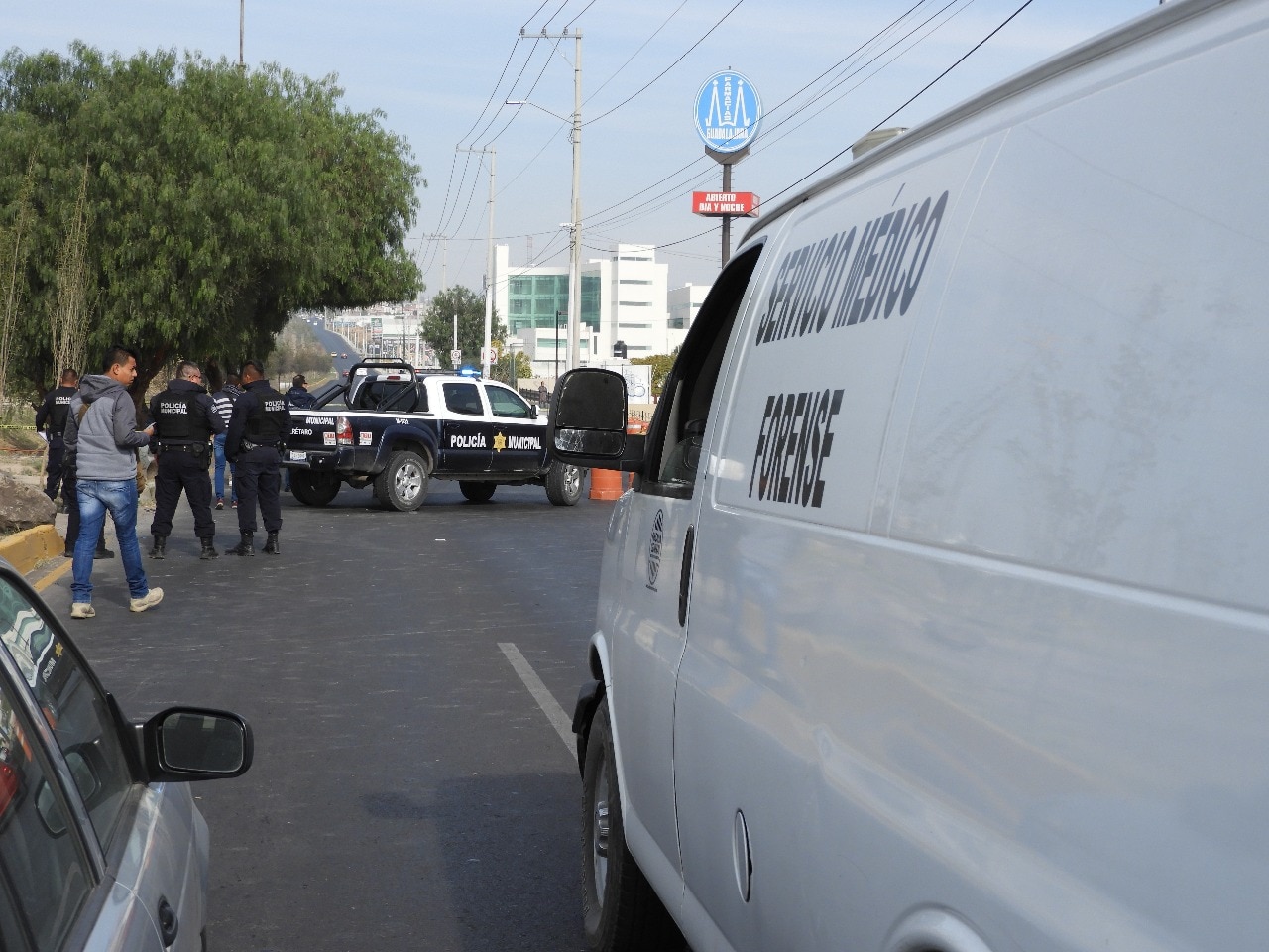 Arrolla y mata a mujer que paseaba a su mascota