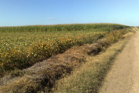 Campo queretano, con grandes retos