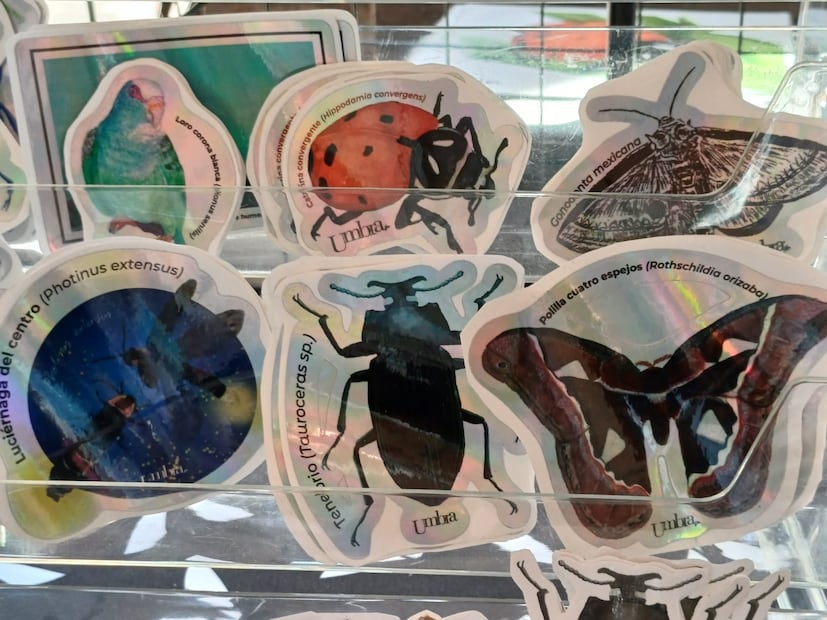 FOTO. ROCÍO G. BENÍTEZ