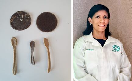 Van por bioplásticos con residuos agrícolas