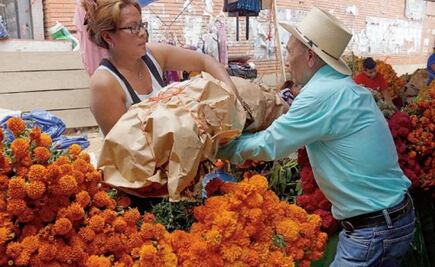 Lluvias pegan a producción de la flor de cempasúchil