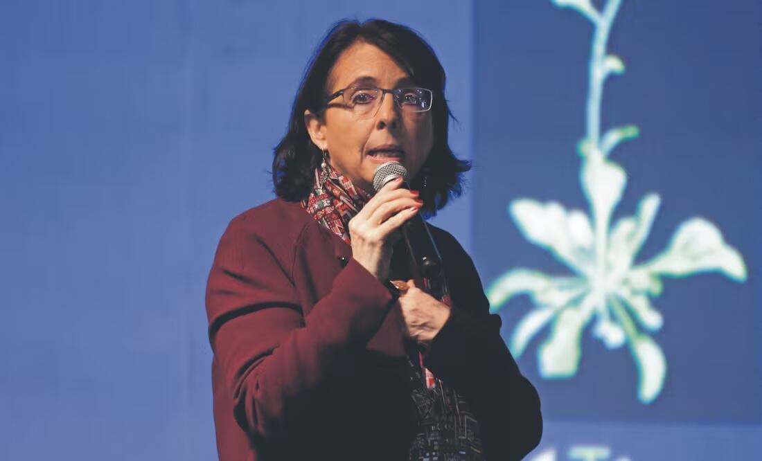 Como funcionaria el sexenio pasado, Álvarez-Buylla dio un contrato millonario a una empresa con la que tuvo una relación privada de negocios. Foto: de Carlos Mejía. El Universal