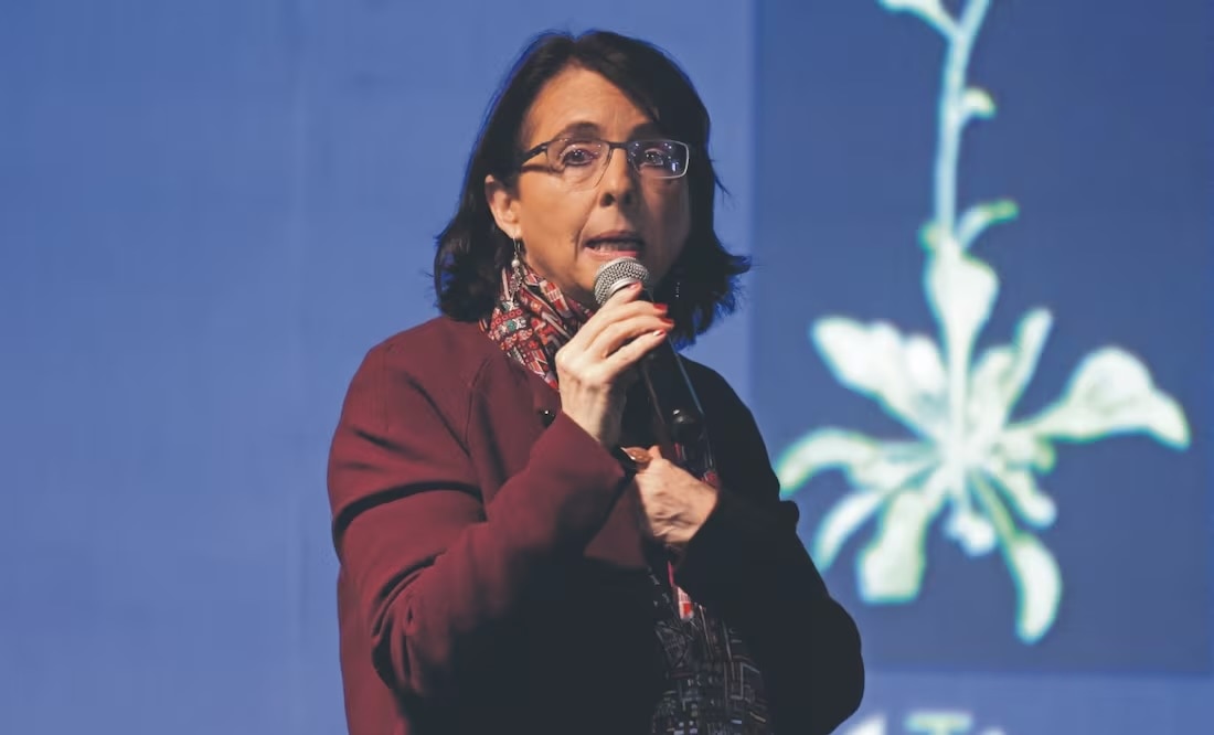 Científicos hablan de la polémica sobre Álvarez-Buylla