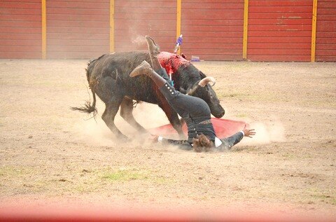 ‘El Canelo’ recibe alta médica