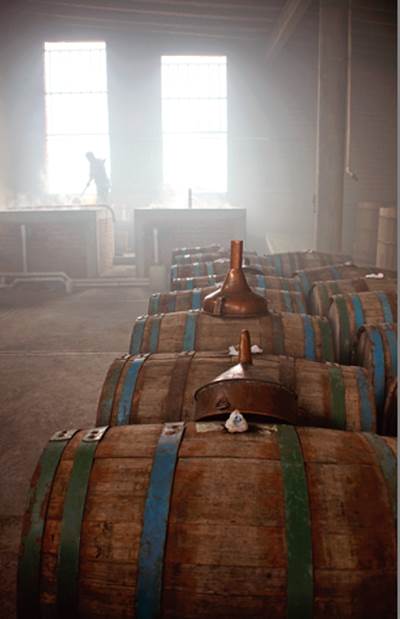 Maridaje a la mexicana