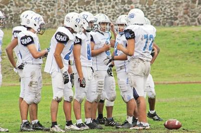 Gatos Salvajes acechan la “AA”