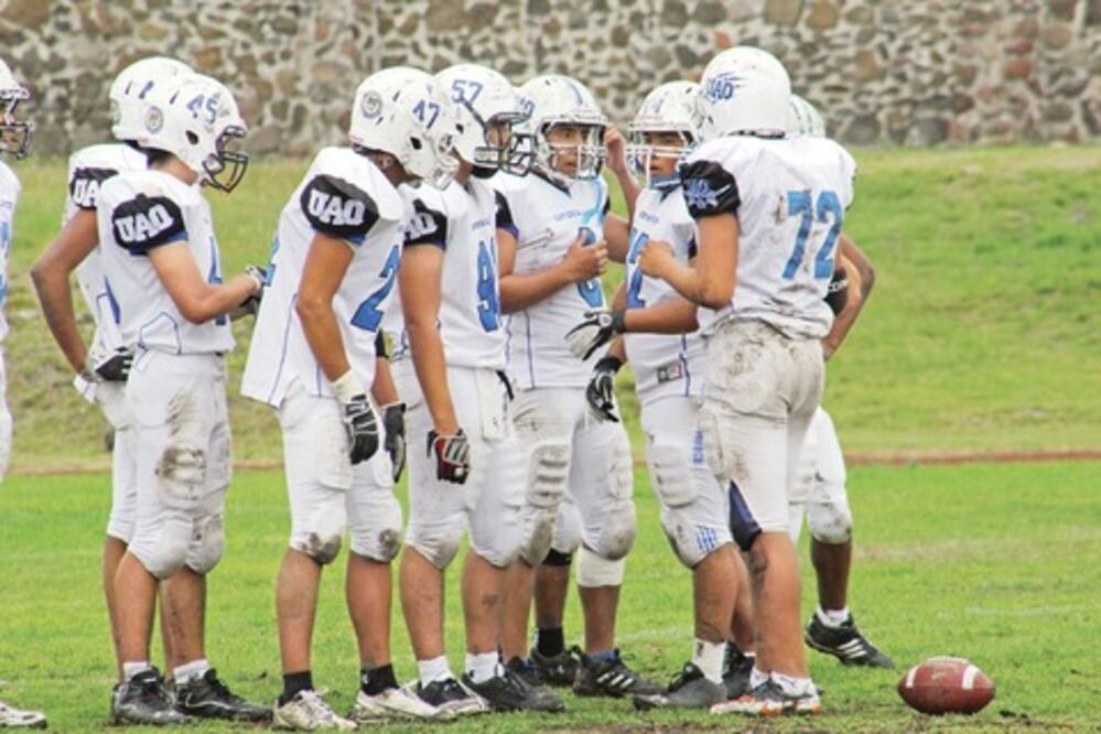 Gatos Salvajes acechan la “AA”