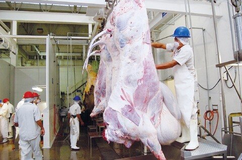 Aumentan demandas contra alcaldías