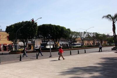 Retiro de plantas, sin autorización