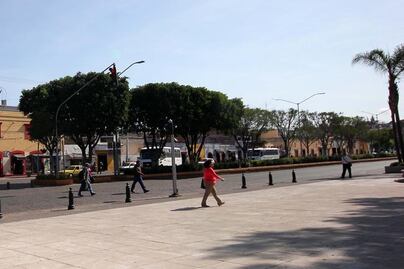 Retiro de plantas, sin autorización