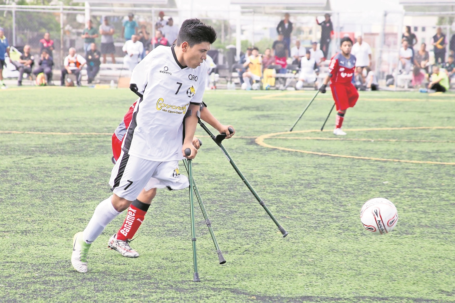 El equipo Coyotes de Querétaro tiene a Iván Davila como su delantero estrella y está buscando trascender en la liga nacional. / Foto: Guillermo González