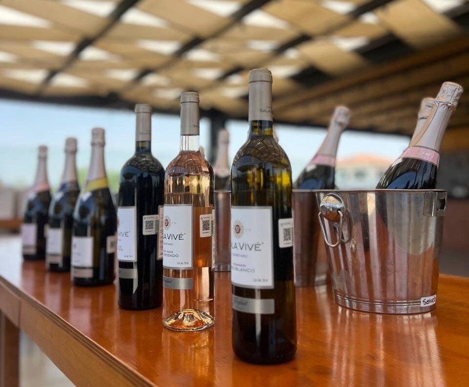 “La zona vitivinícola es un orgullo para Querétaro”: Sectur