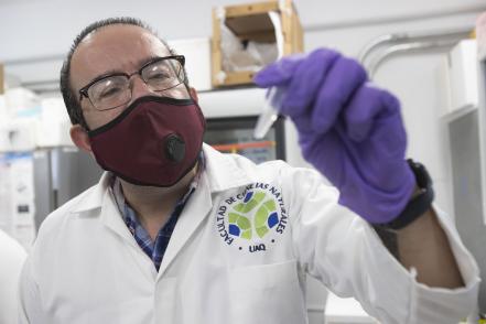 UAQ requiere 20 mdp para probar en humanos la vacuna mexicana contra el Covid-19