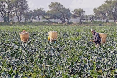 Buscará Mauricio Kuri recursos de Sagarpa