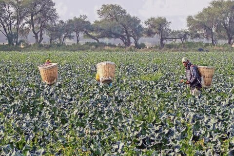 Buscará Mauricio Kuri recursos de Sagarpa