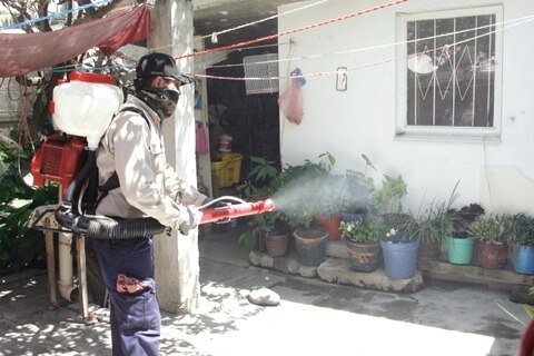 Casos de dengue, importados, dicen