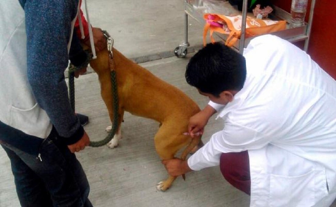 Foto: Archivo El Universal